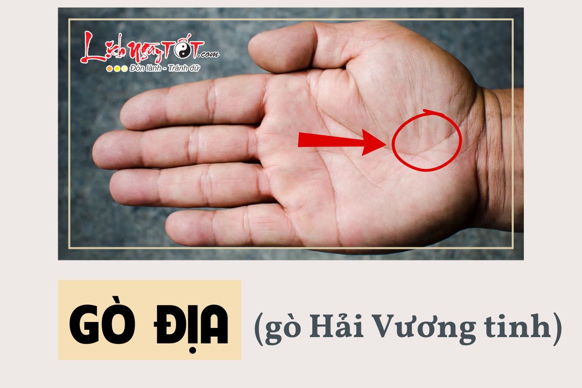 Gò Địa - Gò Hải vương tinh trong lòng bàn tay là gì? Báo hiệu điều thú vị nào về cuộc đời?