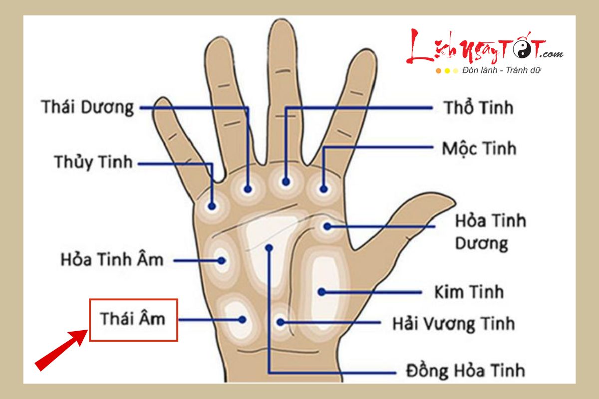 Vi tri go Thai am tren ban tay