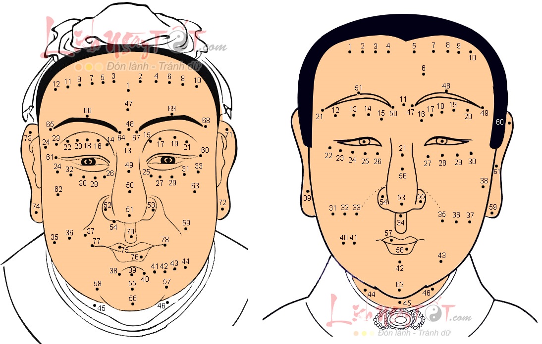 Xem NỐT RUỒI TRÊN MẶT nam nữ: 140 nốt ruồi thường gặp, hầu như ai cũng có nhưng chưa hiểu hết ý nghĩa