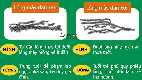 Xem tuong long may de biet anh hao hay tieu nhan hinh anh 3