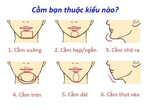 Trac nghiem Ban thuoc tuong cam nao duoi day hinh anh goc