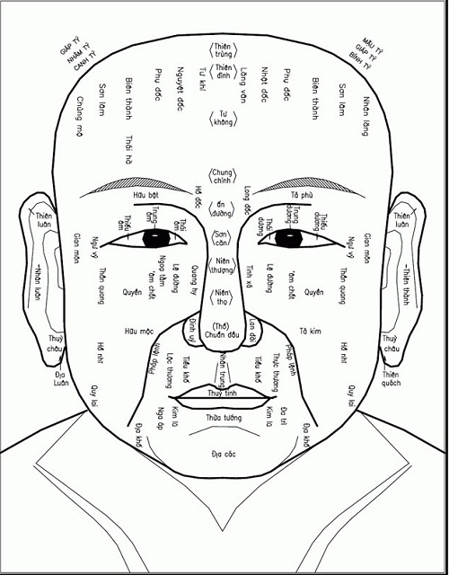 Nhân tướng học là gì? Tầm quan trọng không thể xem thường