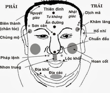 Tìm hiểu về tướng xương trong nhân tướng học