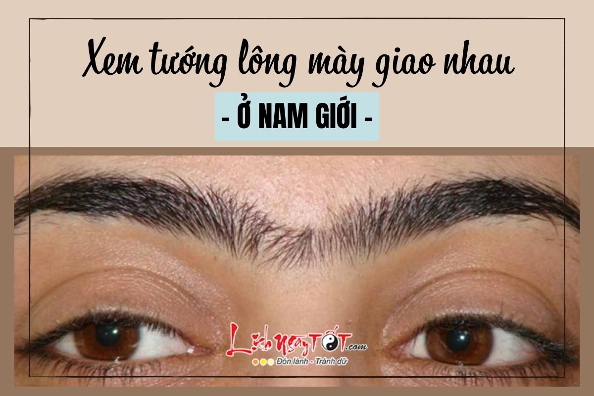 Long may giao nhau o nam gioi