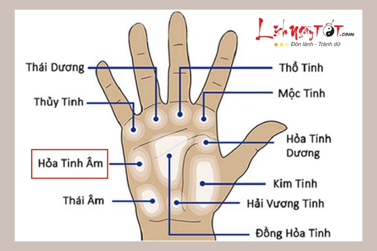 Vi tri go Hoa tinh am tren ban tay