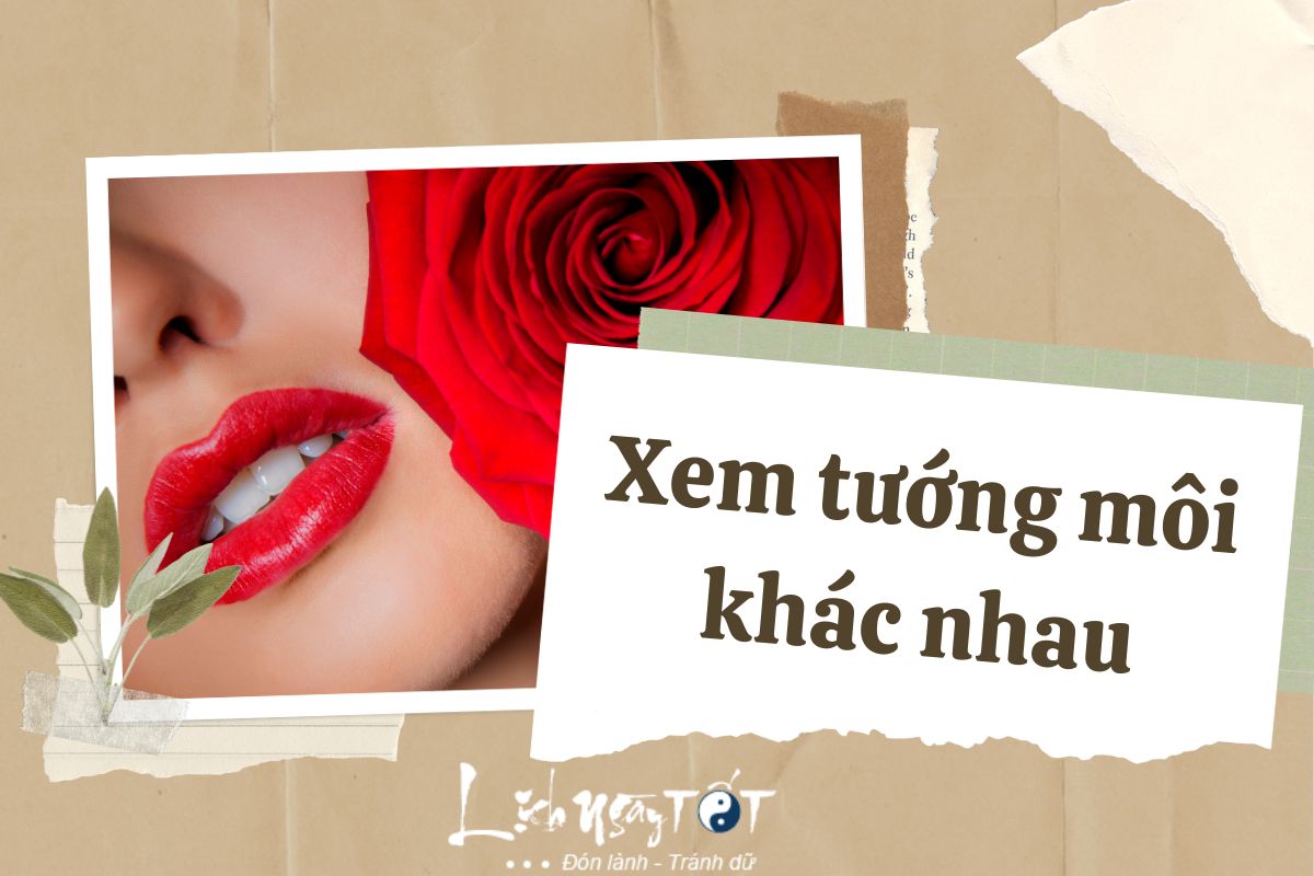 Xem tướng môi khác nhau: Môi dày ăn vụng đã xong, môi mỏng hay hớt, môi cong hay hờn