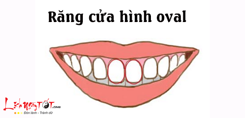 Tuong rang cua tiet lo ban chat con nguoi thuc su cua ban hinh anh goc