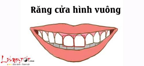 Tuong rang cua tiet lo ban chat con nguoi thuc su cua ban hinh anh goc