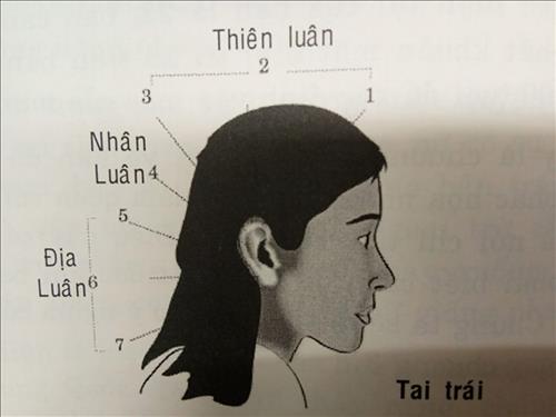 van-so-tuoi-nien-thieu-1-7-nu