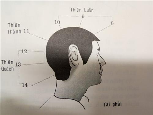 van-so-tuoi-nien-thieu-8-14-nam