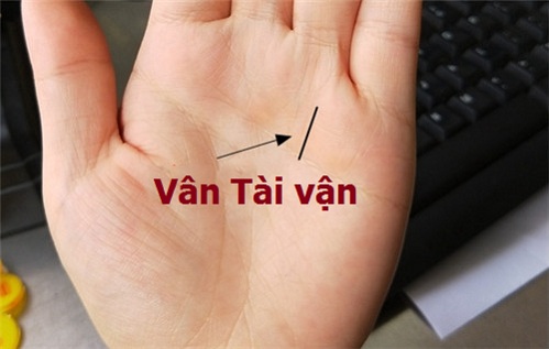 Van tai van