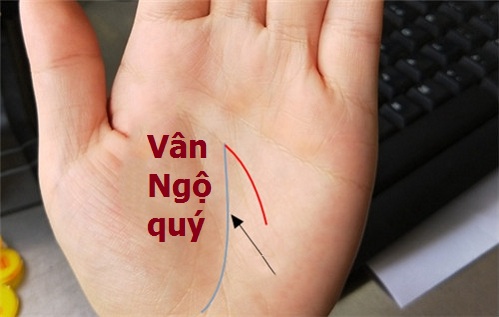 Van ngo quy