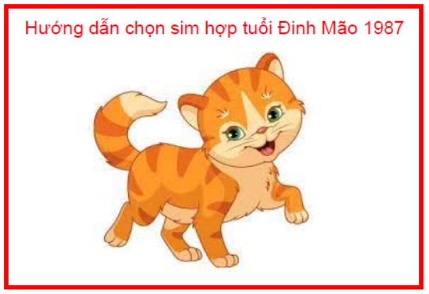 sim phong thuỷ hợp tuổi đinh mão 1987