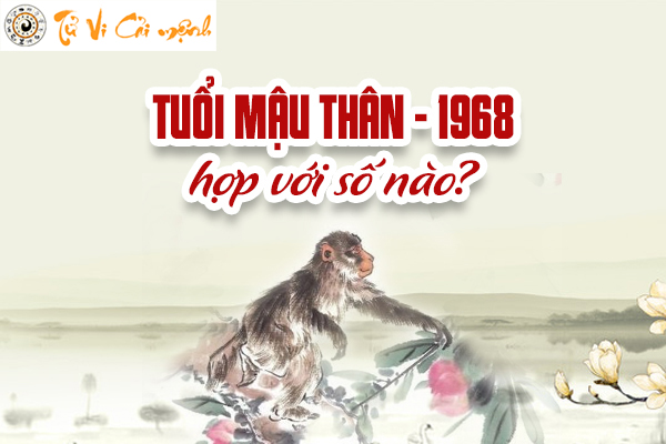 1968-so-hop-tuoi-mau-than