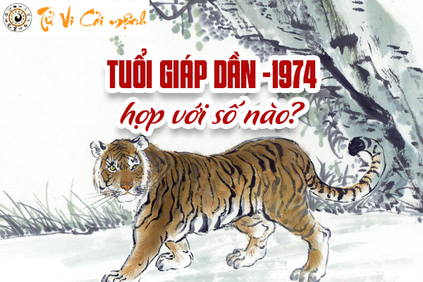 1974-tuoi-giap-dan-hop-voi-so-nao