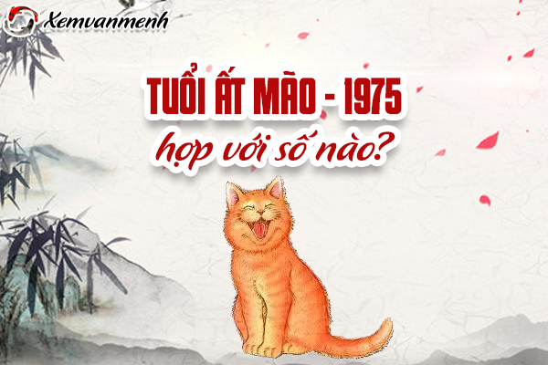 1975-tuoi-at-mao-hop-voi-so-nao