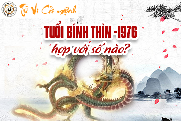 1976-tuoi-binh-thin-hop-voi-so-nao