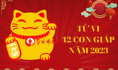 Tổng quát tử vi 12 con giáp năm 2023 Quý Mão chi tiết nhất vừa được cập nhật