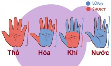 Xem tướng bàn tay biết ngay tính cách, vận mệnh