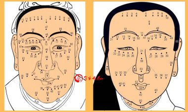 Ý nghĩa vị trí nốt ruồi trên khuôn mặt nam, nữ chi tiết nhất