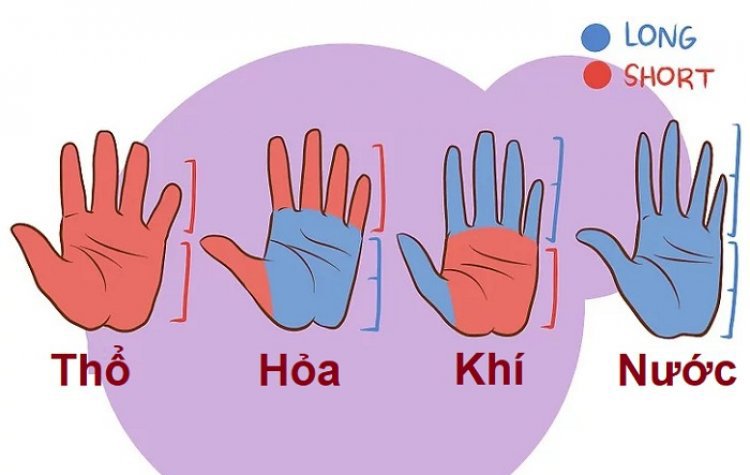 Xem tướng bàn tay biết ngay tính cách, vận mệnh