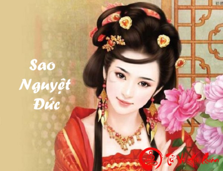 Ý nghĩa sao Nguyệt Đức ở cung Mệnh và các cung khác trong Tử Vi