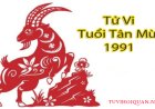 Khám phá Tử Vi Tuổi Tân Mùi 1991: Mệnh, Màu Sắc, Hướng và Cung
