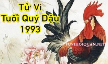 Khám phá Tử Vi Tuổi Quý Dậu 1993: Mệnh, Màu Sắc, Hướng và Cung