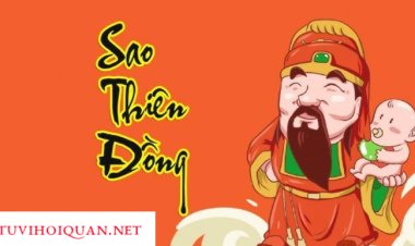 Sao Thiên Đồng - Ý Nghĩa Tại Mệnh Và Các Cung Khác Trong Tử Vi