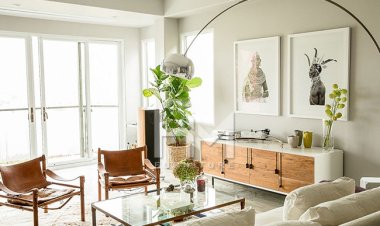 Những loại cây, hoa nào tốt cho phong thủy phòng khách