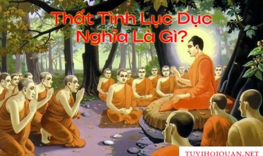 Thất tình lục dục nghĩa là gì? Thất tình lục dục  là chướng ngại tu tâm đạo