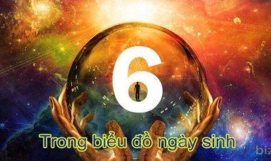 Ý Nghĩa Số 6 Trong Biểu Đồ Ngày Sinh
