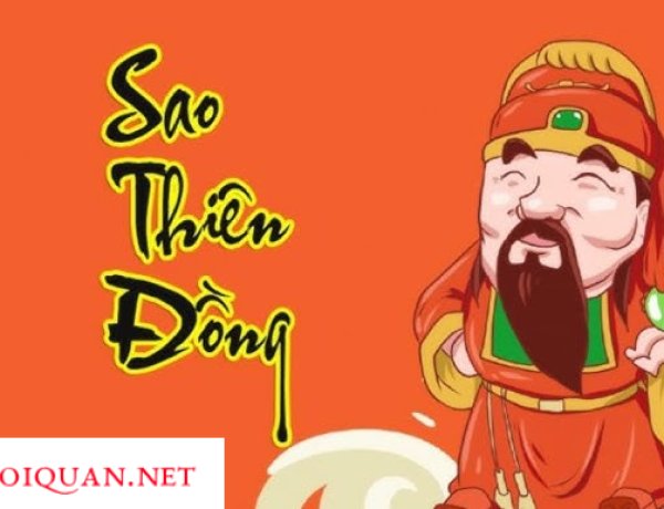 Sao Thiên Đồng - Ý Nghĩa Tại Mệnh Và Các Cung Khác Trong Tử Vi