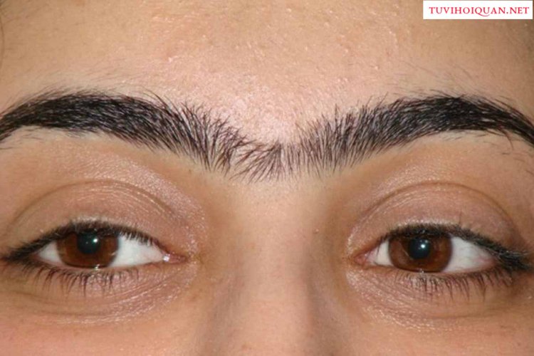 Tướng lông mày giao nhau tốt hay xấu