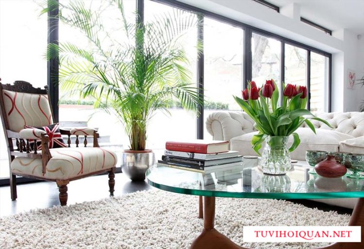 Đặt cây xanh trong nhà: Một ý tưởng tốt, nhưng bạn đã thực sự áp dụng chưa?