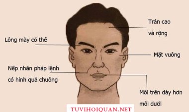 Cách xem tướng đàn ông qua khuôn mặt, hình thể