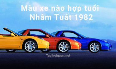 Tuổi Nhâm Tuất 1982 Nên Mua Xe Màu Gì Để May Mắn, Tài Lộc