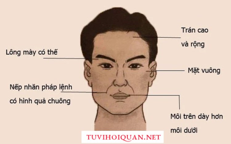 Cách xem tướng đàn ông qua khuôn mặt, hình thể