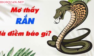 Giải Mã Giấc Mơ Thấy Rắn - Ý Nghĩa Tâm Linh và Điềm Báo Hung Cát chi tiết nhất