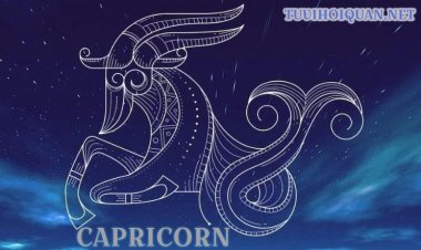 Cung Ma Kết (22/12-19/1): Giải Mã Tính Cách, Tình Yêu & Sự Nghiệp