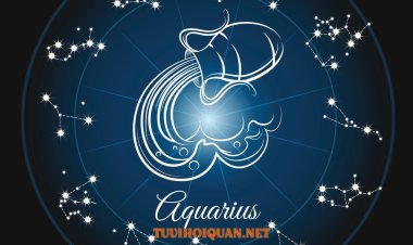 Cung Bảo Bình (20/1-18/2): Giải Mã Tình Yêu, Tính Cách Và Sự Nghiệp