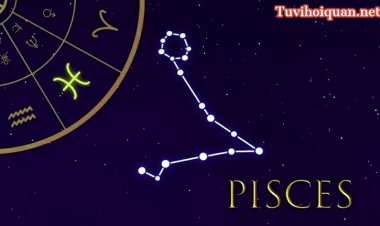 Cung Song Ngư (19/2-20/3): Giải Mã Tình Yêu, Tính Cách Và Sự Nghiệp