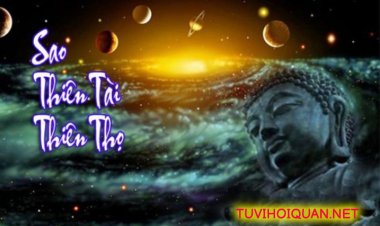 Luận Giải Ý Nghĩa Sao Thiên Tài, Thiên Thọ Trong Tử Vi Chính Xác Nhất