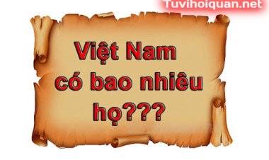 Việt Nam có bao nhiêu họ? Họ nào phổ biến nhất?