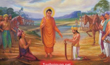 Tìm hiểu về Ý nghĩa Quy y Tam bảo trong phật giáo