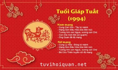 Tuổi Giáp Tuất 1994: Mệnh Gì, Hướng Nào, Màu Sắc Và Cung Gì Hợp