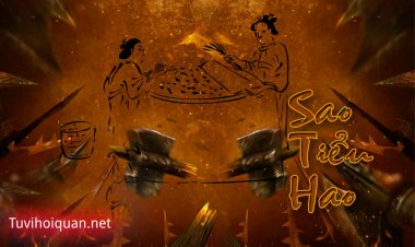 Luận Giải Ý Nghĩa Sao Tiểu Hao Ở Mệnh Và Các Cung Trong Tử Vi Chi Tiết Nhất Mới Cập Nhật