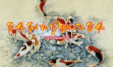 Tứ Hóa (Hóa Khoa - Hóa Quyền- Hóa Lộc - Hóa Kỵ)