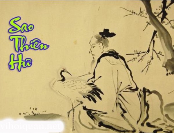 Sao Thiên Hư - Ý Nghĩa Ở Mệnh Và Các Cung Khác Trong Tử Vi Chi Tiết Nhất