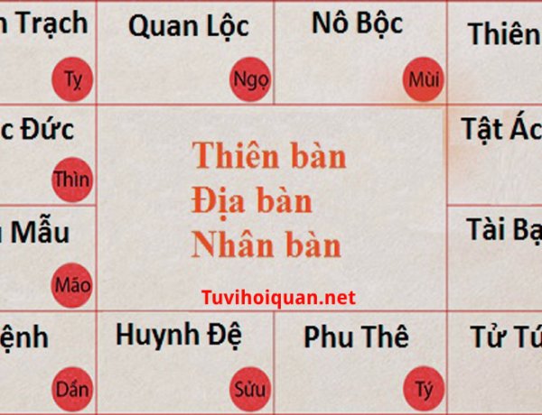 12 cung trong lá số tử vi và chi tiết ý nghĩa của từng cung